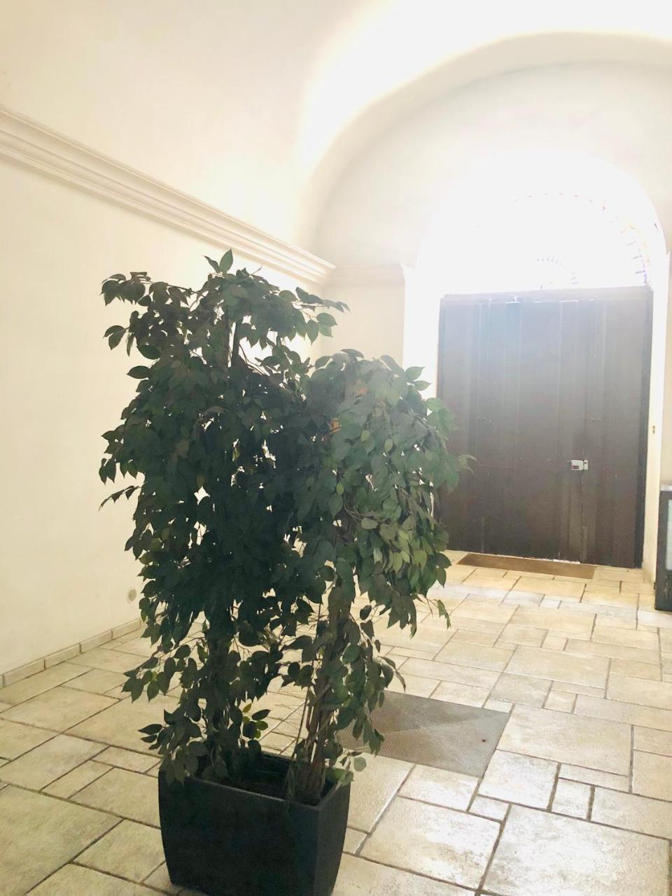Baricityhouse Екстериор снимка